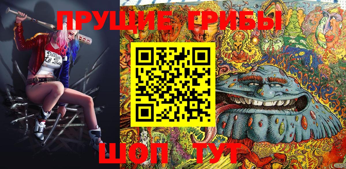 Полевской  Псилоцибиновые грибы Cubensis  Вход с VPN 